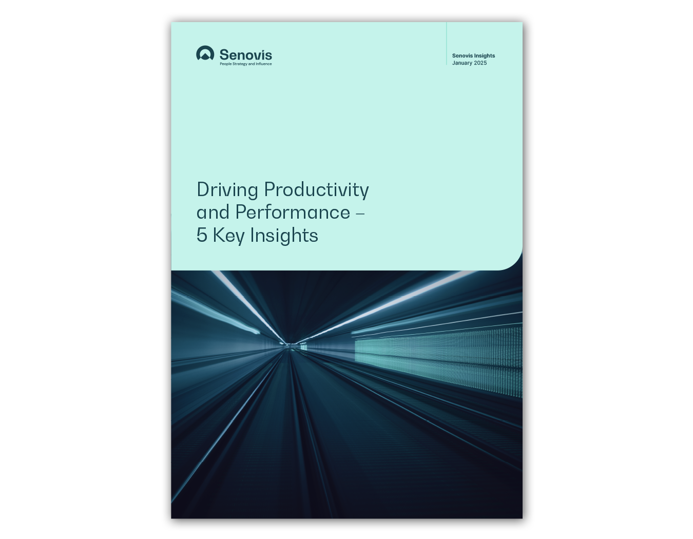 https://www.senovis.com/wp-content/uploads/2025/02/Senovis-Productivity-Performance.png